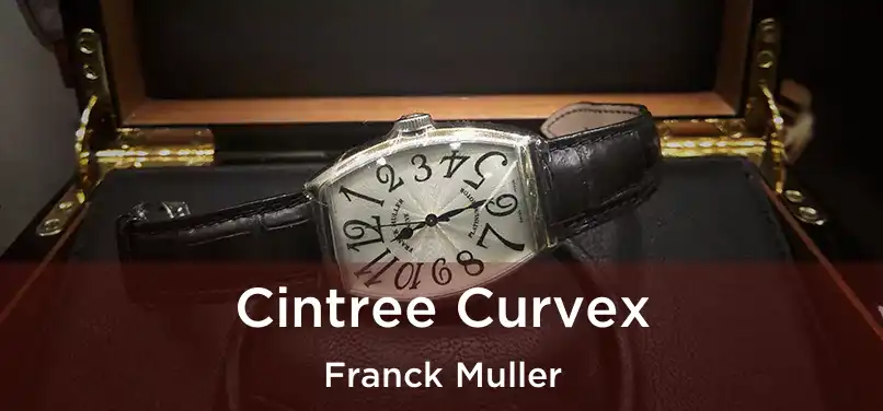  Cintree Curvex Franck Muller