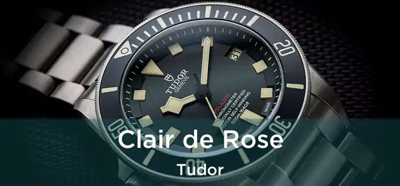  Clair de Rose Tudor