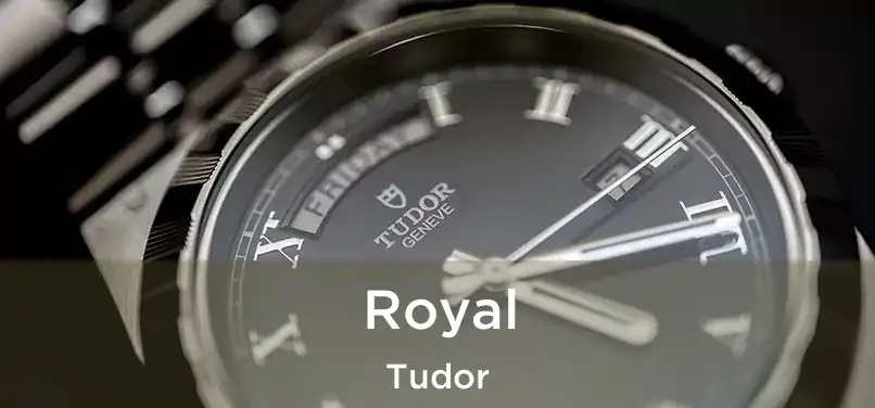  Royal Tudor